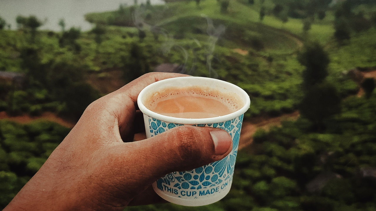 Coorg Coffee