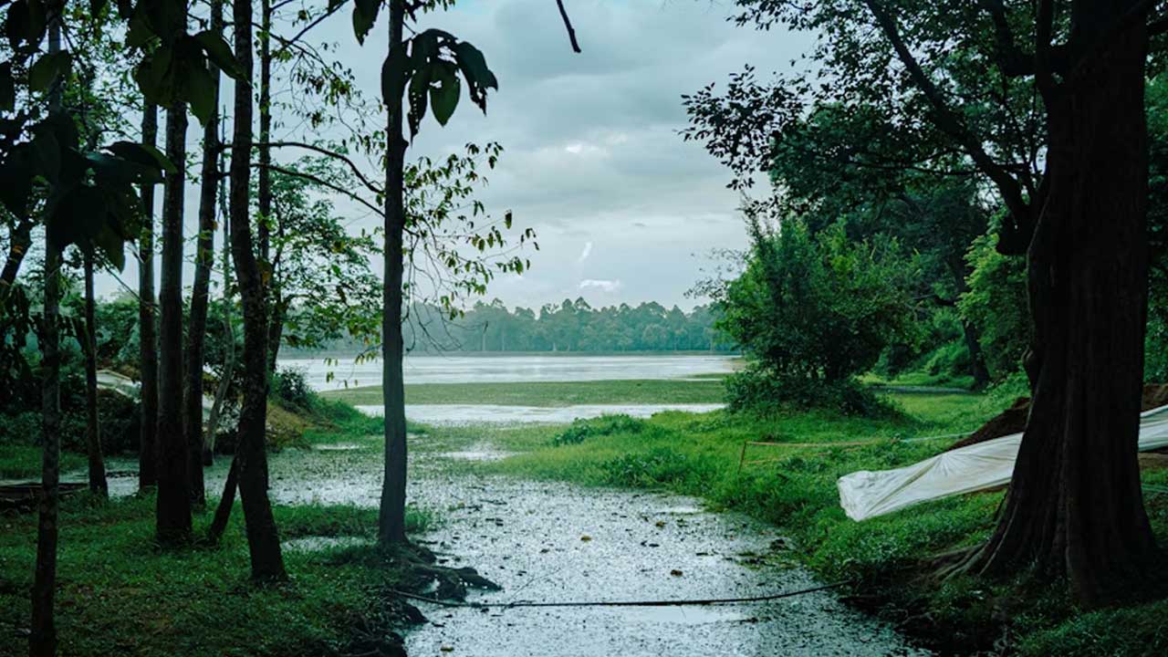 Agumbe Rainforest