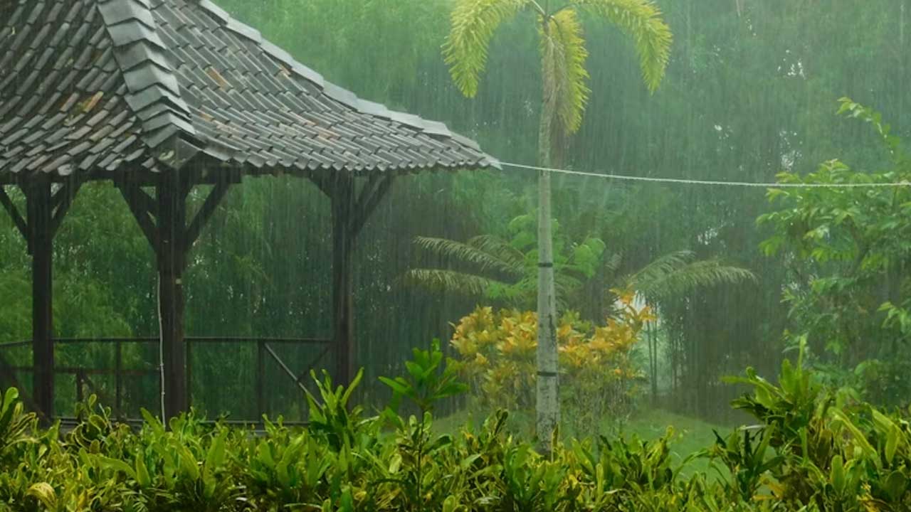 Cubbon Park in Monsoon