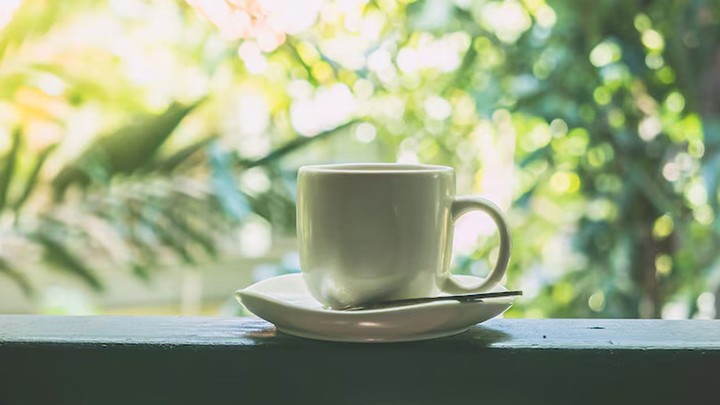 Cozy Rainy Day Cafes in Bangalore